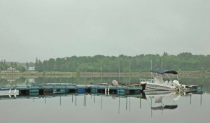 Our small boat launch